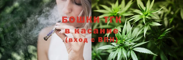 ГАЛЛЮЦИНОГЕННЫЕ ГРИБЫ Алзамай