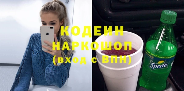 гашик Арсеньев